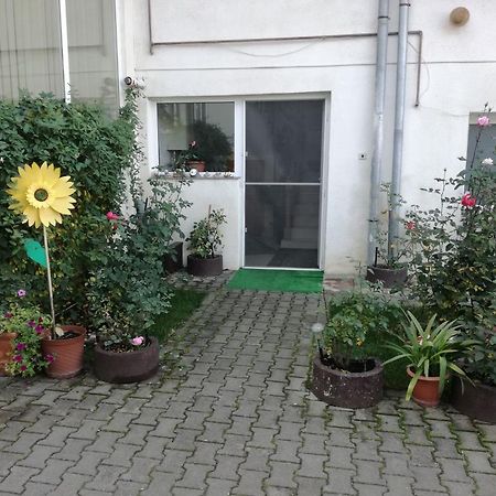 Vila Nely Râşnov Exterior photo