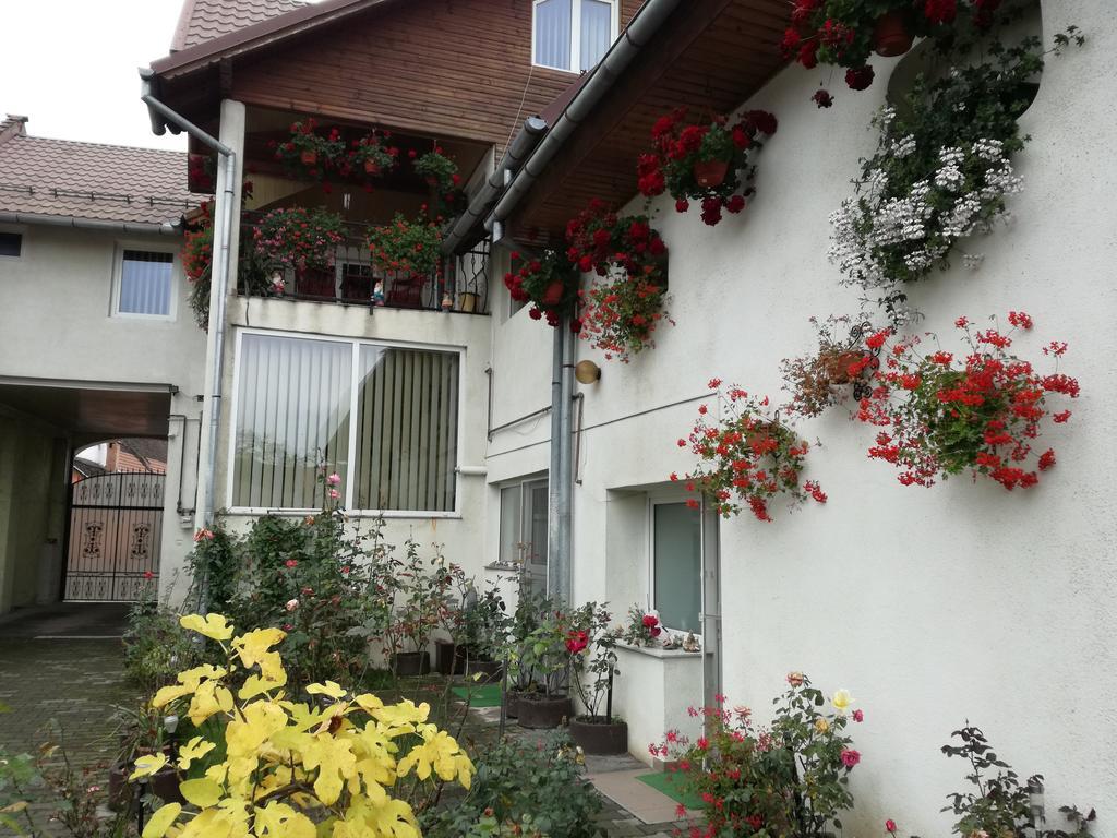 Vila Nely Râşnov Exterior photo
