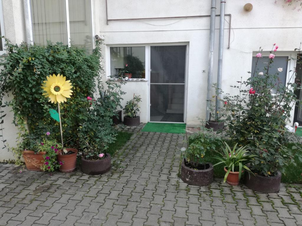 Vila Nely Râşnov Exterior photo